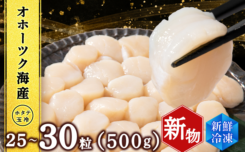 ホタテ 北海道産 冷凍 貝柱 500ｇ(250g×2個セット) 【頓別漁業協同組合】