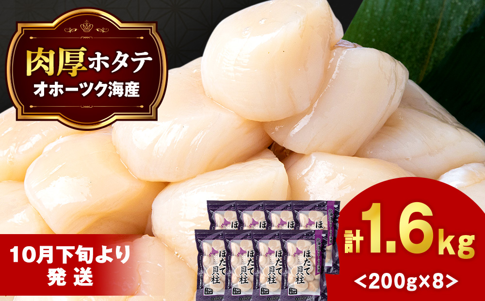 【10月下旬以降発送】ほたて 貝柱 冷凍 200ｇ(15粒前後)×8パック お取り寄せ 刺身 《横田水産》