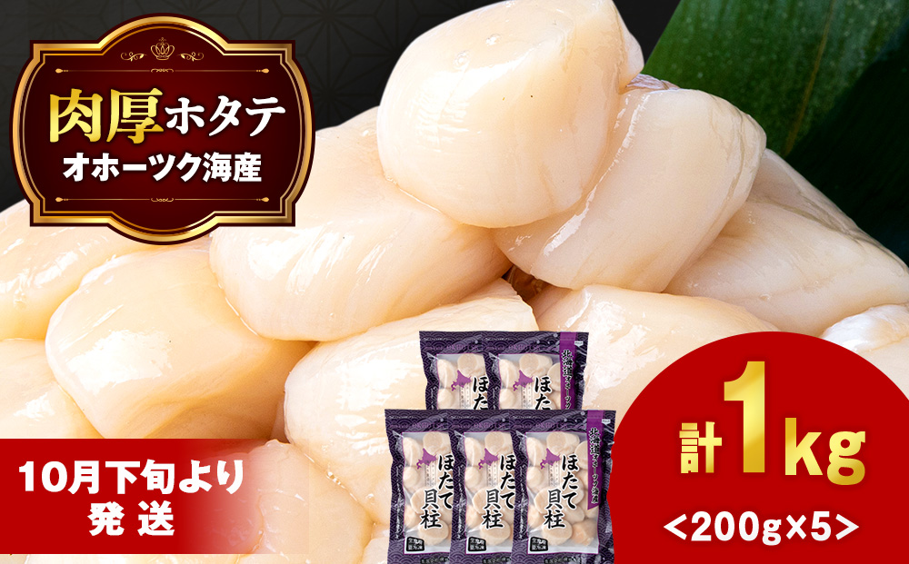 【10月下旬以降発送】 ほたて 貝柱 冷凍 200ｇ(15粒前後)×5パック お取り寄せ 刺身 《横田水産》