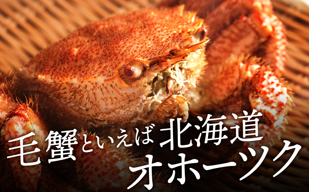 北海道産 毛ガニ 約550g×2尾 セット かに 蟹 毛蟹 冷凍 北海道産 浜頓別町