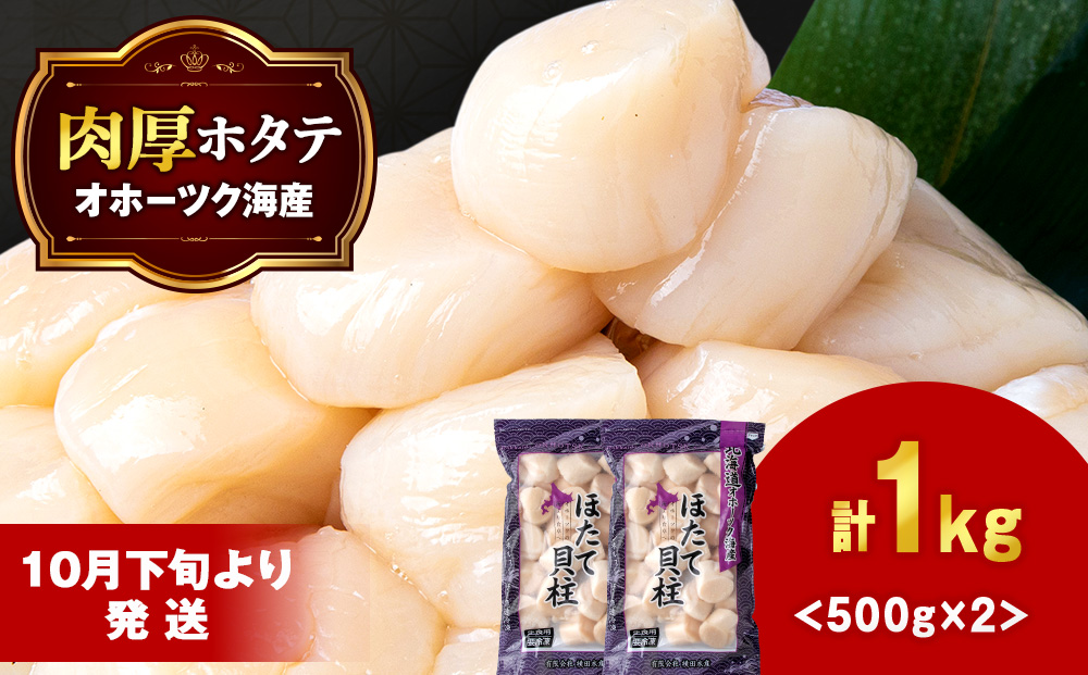 【10月下旬以降発送】ホタテ 貝柱 冷凍 大粒 1kg（500ｇ×2パック） お取り寄せ 刺身 《横田水産》