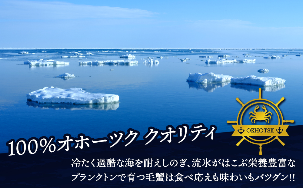 笘蛹玲オキ驕鍋肇 豈帙ぎ繝 邏650gテ1蟆セ 縺九↓ 陝ケ 豈幄淹 蜀キ蜃 蛹玲オキ驕鍋肇 豬憺灘挨逕コ