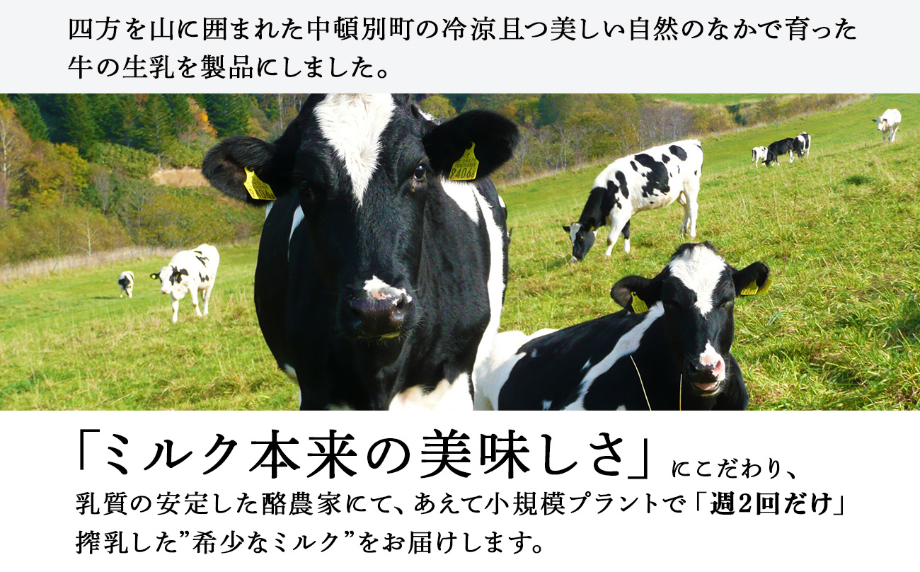 なかとん牛乳 6本セット 200ml×4本 900ml×2本　成分無調整