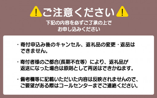 砂金ラーメン 塩 1食×3 金箔入り 黒い? 竹炭【中頓別限定】北海道