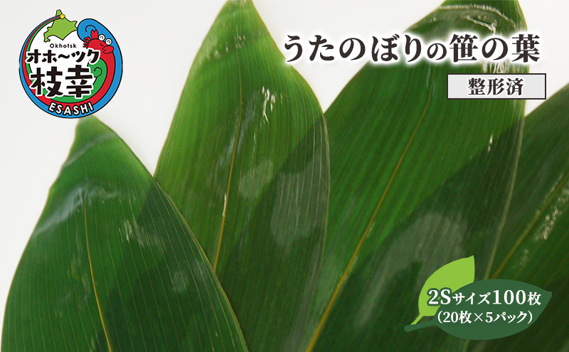 ［整形済］うたのぼりの笹の葉2Sサイズ100枚（20枚×5パック）【オホーツク枝幸】19.5cm×6cm