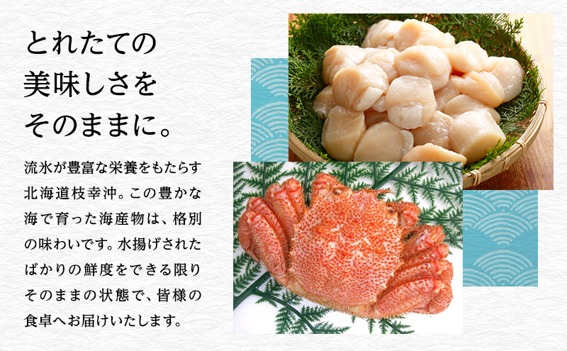 鮭切身(白醤油仕立て)10切［山上佐藤水産］【魚貝類 鮭 さけ サーモン 北海道 オホーツク 枝幸 】