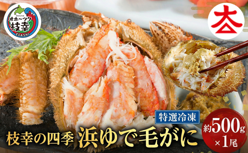 枝幸の四季 浜ゆで毛がに 約500g×1尾［枝幸海産］流氷 海明け【 カニ 蟹 毛ガニ 毛がに 毛蟹 浜ゆで 浜茹で 冷凍 北海道 オホーツク 枝幸 】 