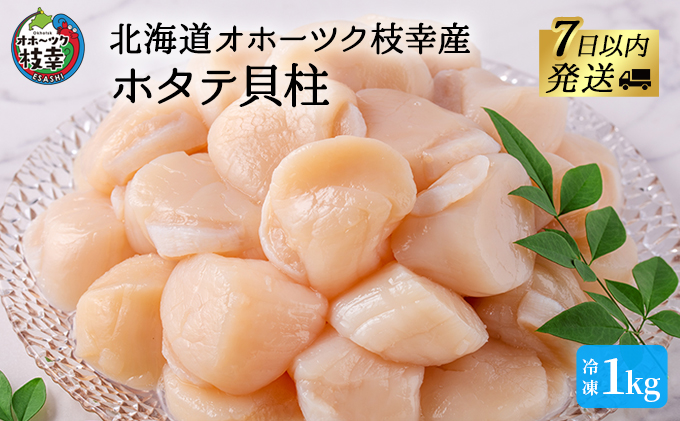 【枝幸ほたて】甘みたっぷり肉厚！大粒冷凍ほたて貝柱1kg 山武水産【 ほたて 帆立 ホタテ 冷凍 魚貝類 魚介類 北海道 オホーツク 枝幸 】