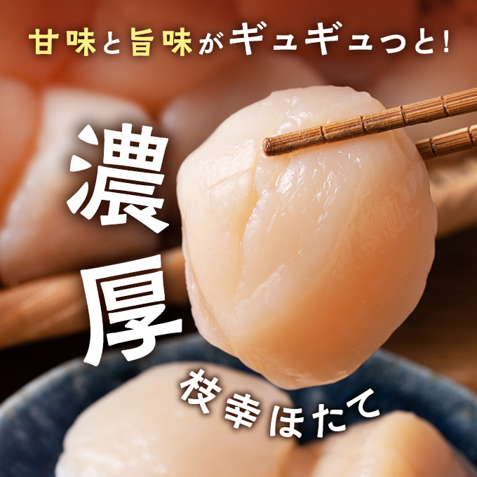 プロも認めるオホーツクブランド「枝幸ほたて」冷凍貝柱1kg（3Sサイズ：41粒～50粒）枝幸漁協 【 刺身 魚介 帆立 超目玉 魚貝類 貝類 海の幸 枝幸産 つまみ 肴 お酒のお供 お酒のあて 北海道 オホーツク 枝幸 】