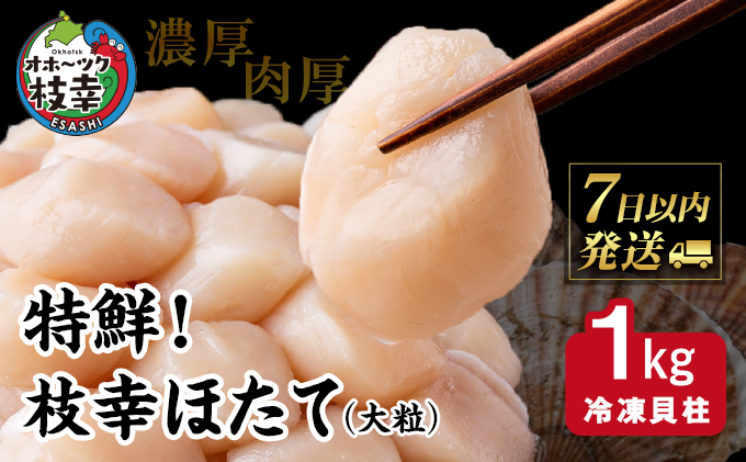 特鮮！枝幸ほたて（大粒）冷凍貝柱1kg（S～2Sサイズ）秋田水産 刺身 魚介 帆立 北海道 超目玉海鮮 魚介類 海の幸 