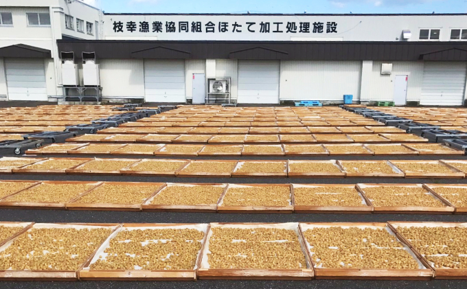 【枝幸ほたて】1等干し貝柱 SA7粒入×5個【 ホタテ 帆立 ほたて 貝柱 干貝柱 干し貝柱 乾物 魚貝 魚介 おつまみ 北海道 オホーツク 枝幸 】