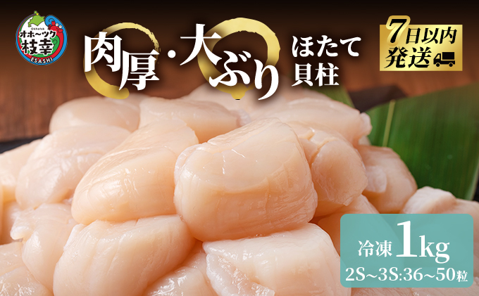 枝幸の四季　肉厚大玉ほたて冷凍貝柱1kg（2S～3Sサイズ：36～50粒）【枝幸ほたて】枝幸海産 北海道 冷凍 貝柱 刺身 大 魚介 海 オホーツク 帆立 年越し 贈答 贈り物 ギフト魚貝類