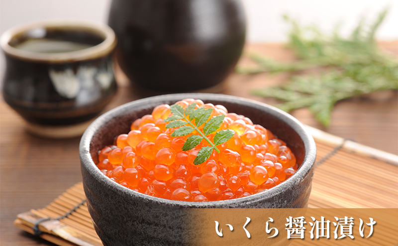 オホーツク枝幸の恵 高田商店《幸》セット 【 魚貝類 いくら 魚卵 帆立 ホタテ サーモン 鮭 北海道 オホーツク 枝幸 】