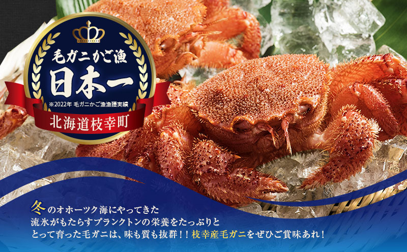 【漁獲量日本一】至福の逸品！特選冷凍「枝幸毛がに」約570g×1尾【 毛蟹 毛ガニ オホーツク 北海道 加工食品 地域のお礼の品 カタログ 毛ガニ 北海道 オホーツク 枝幸 】