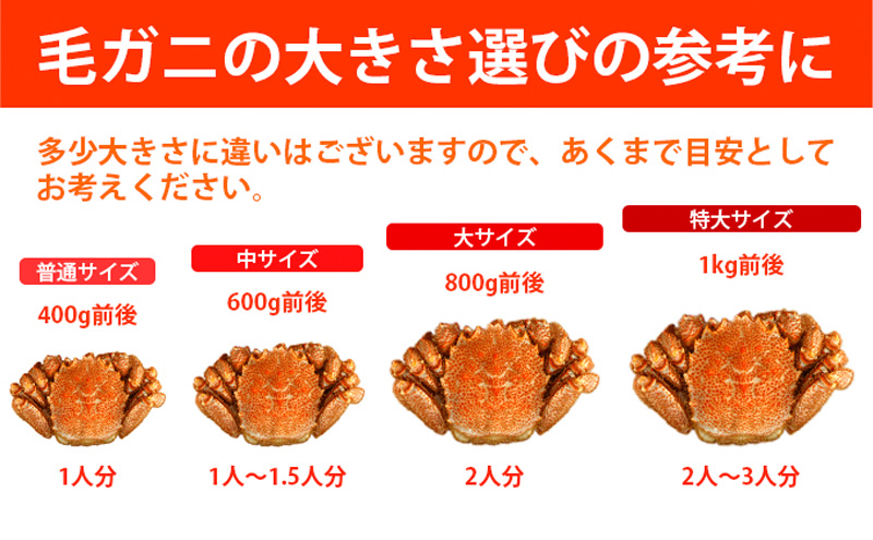 【漁獲量日本一】至福の逸品！特選冷凍「枝幸毛がに」約570g×1尾 毛蟹 毛ガニ オホーツク 北海道加工食品 地域のお礼の品 カタログ 毛カニ