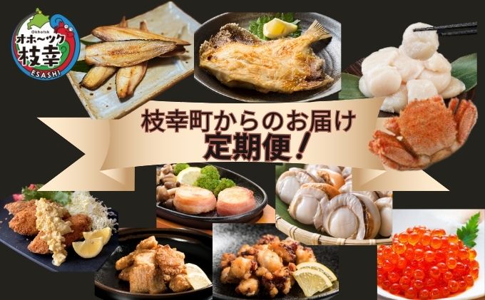 ～北海道枝幸町からのお届け まるごと堪能品！ 定期便６～【 ホタテ ステーキ いくら 醤油 大粒 冷凍 ほたて めじか鮭 切身　など 】 