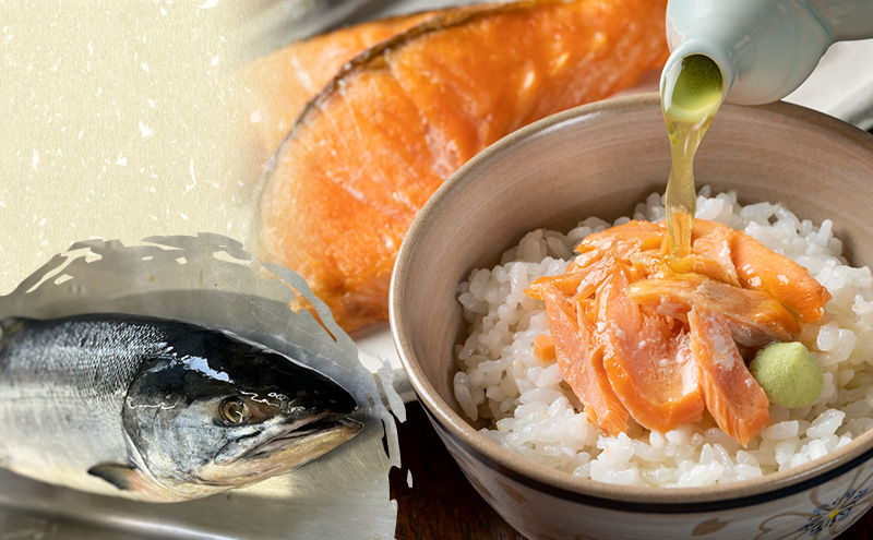 オホーツク枝幸産 ブランド新巻鮭「白王」標準サイズ（姿切身 約4.5kg～4.99kg）職人手切り加工［六三海］【 鮭 サケ 切身 新巻 塩漬け おかず お弁当 北海道 オホーツク 枝幸 】