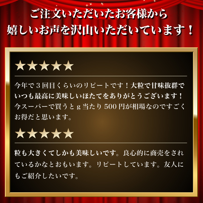 北海道 オホーツク産 ふるさとの贈り物 500gの冷凍ほたて貝柱【 枝幸ほたて 】至福の味 海洋食品 刺身 魚介 帆立 