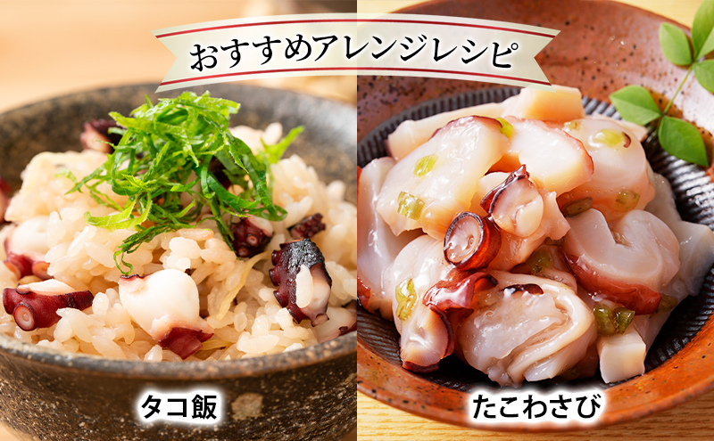 北海道枝幸産 浜茹でボイル 冷凍タコ足 2本 約1kg (3～4等分にカット/1本 約500g)［廣瀬商店］獲れたて鮮度！刺身も絶品オホーツクの恵み【 冷凍 脚 小分け 魚介 タコ たこ 蛸 タコ足 ボイル 浜茹で 刺身 海の幸 北海道 枝幸 】