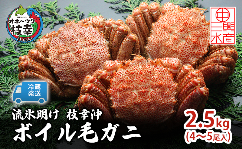 〈冷蔵発送〉流氷明け 枝幸沖 ボイル毛ガニ 2.5kg (4～5尾入) 先行予約【2026年3月頃発送予定】旬の味覚［丸中三興水産］オホーツク枝幸 前浜【 蟹 魚介 北海道 枝幸 】
