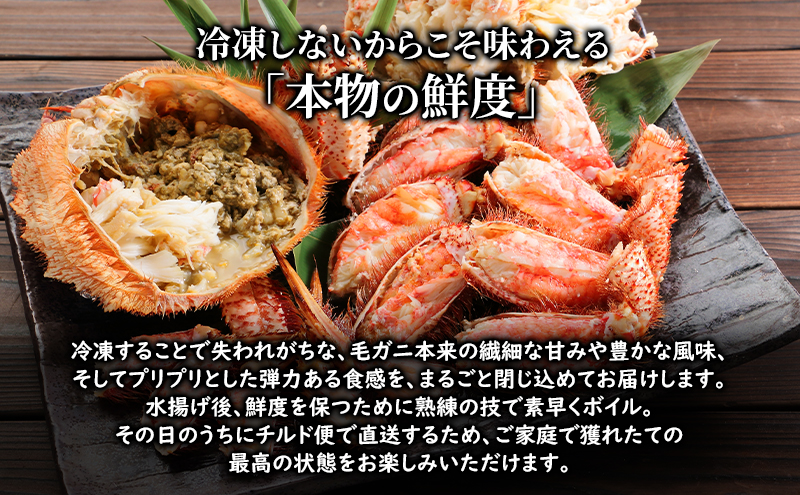 縲亥キ阡オ逋コ騾√画オ∵ーキ譏弱¢ 譫晏ケク豐 繝懊う繝ォ豈帙ぎ繝 2.5kg (4ス5蟆セ蜈・) 蜈郁。御コ育エ縲2026蟷エ3譛磯逋コ騾∽コ亥ョ壹第流縺ョ蜻ウ隕夲シサ荳ク荳ュ荳芽域ーエ逕」シス繧ェ繝帙シ繝繧ッ譫晏ケク 蜑肴オ懊 陝ケ 鬲壻サ 蛹玲オキ驕 譫晏ケク 縲