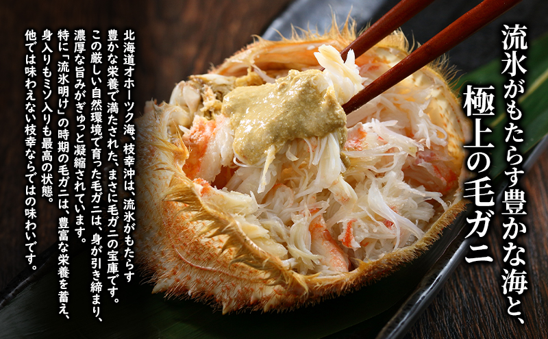 縲亥キ阡オ逋コ騾√画オ∵ーキ譏弱¢ 譫晏ケク豐 繝懊う繝ォ豈帙ぎ繝 2.5kg (4ス5蟆セ蜈・) 蜈郁。御コ育エ縲2026蟷エ3譛磯逋コ騾∽コ亥ョ壹第流縺ョ蜻ウ隕夲シサ荳ク荳ュ荳芽域ーエ逕」シス繧ェ繝帙シ繝繧ッ譫晏ケク 蜑肴オ懊 陝ケ 鬲壻サ 蛹玲オキ驕 譫晏ケク 縲