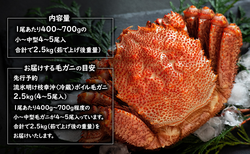 縲亥キ阡オ逋コ騾√画オ∵ーキ譏弱¢ 譫晏ケク豐 繝懊う繝ォ豈帙ぎ繝 2.5kg (4ス5蟆セ蜈・) 蜈郁。御コ育エ縲2026蟷エ3譛磯逋コ騾∽コ亥ョ壹第流縺ョ蜻ウ隕夲シサ荳ク荳ュ荳芽域ーエ逕」シス繧ェ繝帙シ繝繧ッ譫晏ケク 蜑肴オ懊 陝ケ 鬲壻サ 蛹玲オキ驕 譫晏ケク 縲