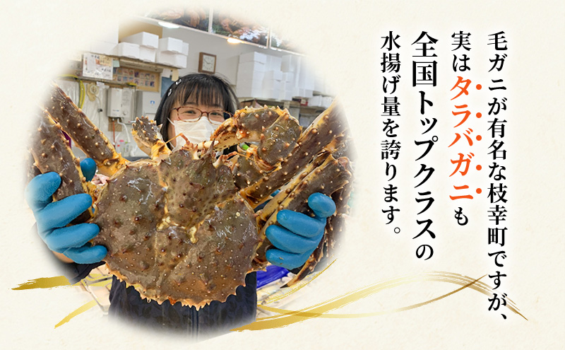 オホーツク枝幸 極上浜茹で！旨み溢れる 極太・肉厚 塩茹で タラバガニ脚 食べ応え抜群 約1.5kg［瀧源商店］【 かに カニ 蟹 タラバガニ たらば蟹 ボイル 茹で 海産物 海鮮 魚介 お取り寄せ 贈答 ギフト 北海道 オホーツク 枝幸町 】
