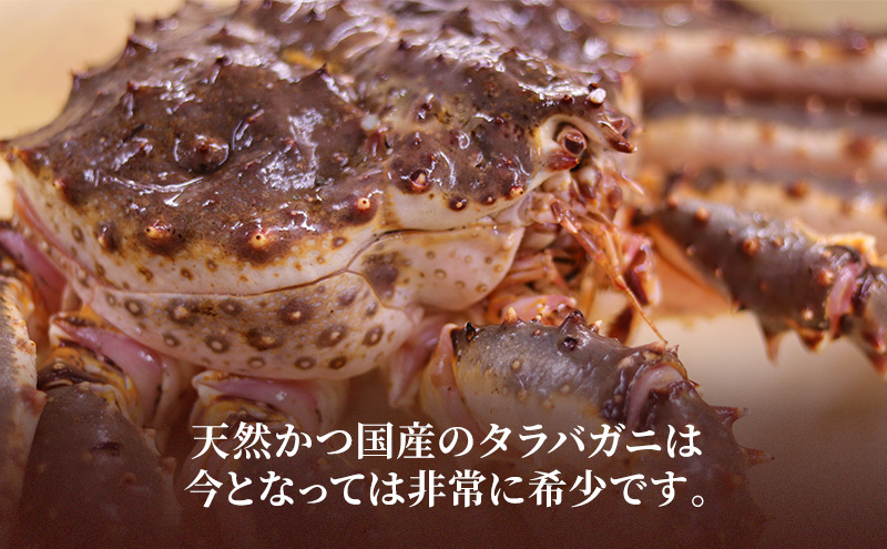 オホーツク枝幸 極上浜茹で！旨み溢れる 極太・肉厚 塩茹で タラバガニ脚 食べ応え抜群 約1.5kg［瀧源商店］【 かに カニ 蟹 タラバガニ たらば蟹 ボイル 茹で 海産物 海鮮 魚介 お取り寄せ 贈答 ギフト 北海道 オホーツク 枝幸町 】