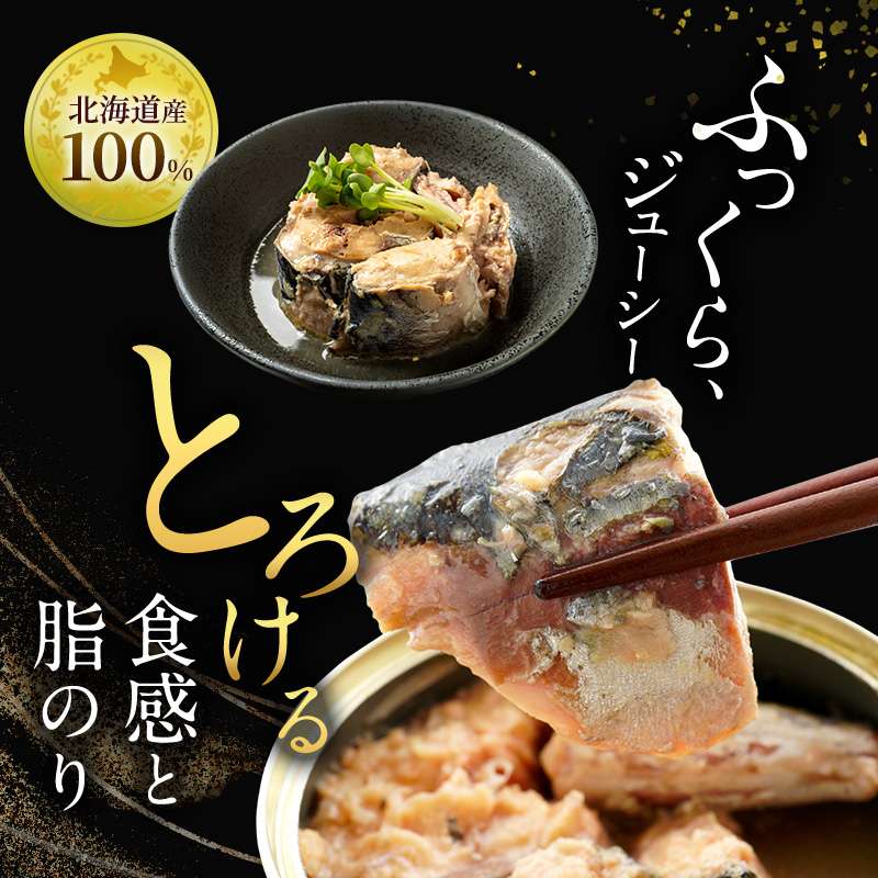 北海道オホーツク枝幸産 さば水煮 缶詰170g×24個 水揚げ当日フレッシュパック！［海洋食品］【 さば サバ サバ缶 缶詰 新鮮 惣菜 保存 長期 加工食品 魚貝 魚介 北海道 オホーツク 枝幸 】