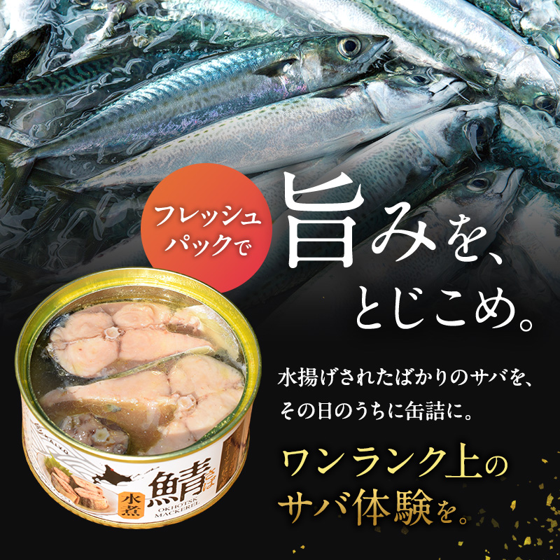 北海道オホーツク枝幸産 さば水煮 缶詰170g×24個 水揚げ当日フレッシュパック！［海洋食品］【 さば サバ サバ缶 缶詰 新鮮 惣菜 保存 長期 加工食品 魚貝 魚介 北海道 オホーツク 枝幸 】