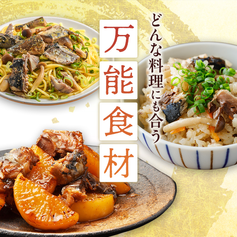 北海道オホーツク枝幸産 さば水煮 缶詰170g×24個 水揚げ当日フレッシュパック！［海洋食品］【 さば サバ サバ缶 缶詰 新鮮 惣菜 保存 長期 加工食品 魚貝 魚介 北海道 オホーツク 枝幸 】