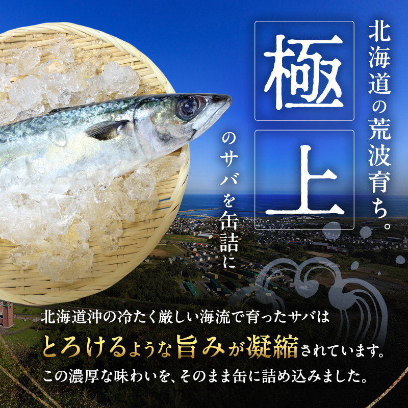 北海道オホーツク枝幸産 さば水煮 缶詰170g×10個 水揚げ当日フレッシュパック！［海洋食品］【 さば サバ サバ缶 缶詰 新鮮 惣菜 保存 長期 加工食品 魚貝 魚介 北海道 オホーツク 枝幸 】