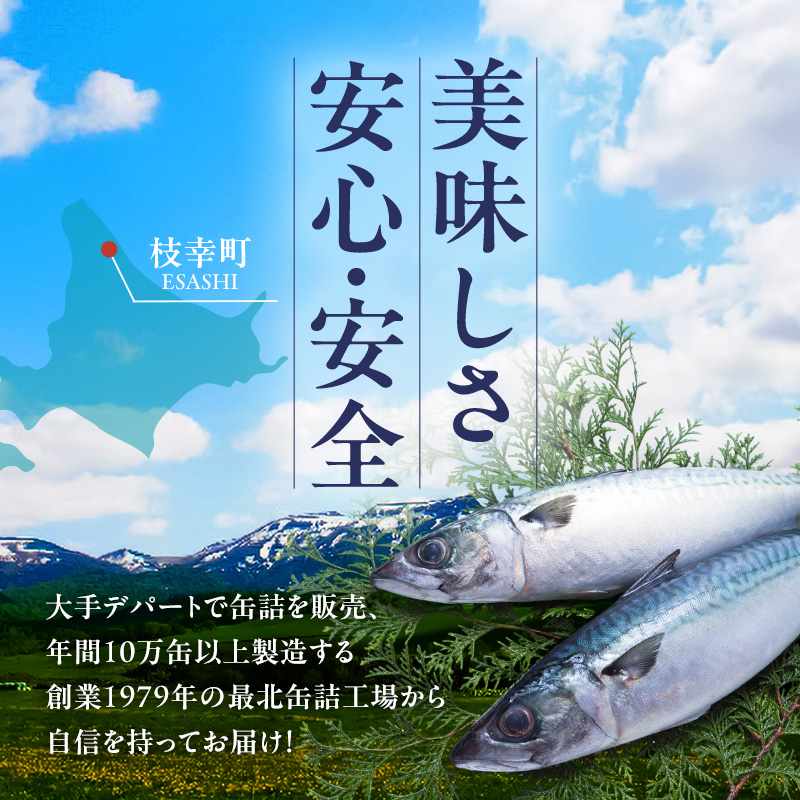 北海道オホーツク枝幸産 さば水煮 缶詰170g×10個 水揚げ当日フレッシュパック！［海洋食品］【 さば サバ サバ缶 缶詰 新鮮 惣菜 保存 長期 加工食品 魚貝 魚介 北海道 オホーツク 枝幸 】