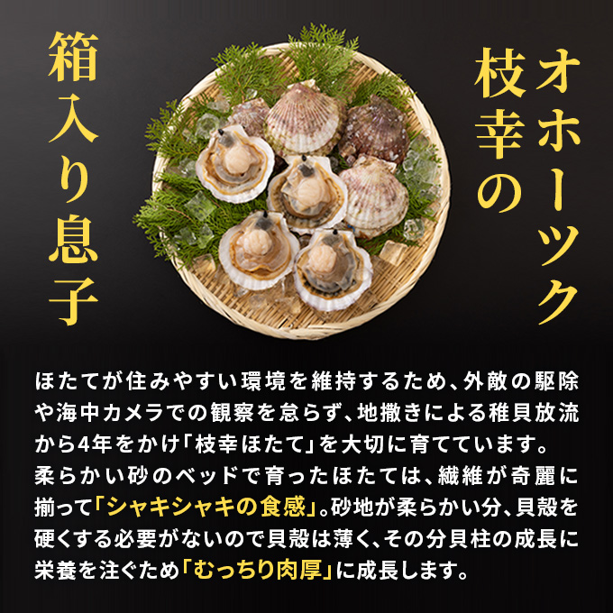 ãããèªãããªããŒãã¯ãã©ã³ããæå¹žã»ããŠãå·åè²æ±1kgïŒ4Sãµã€ãºïŒ51ç²ïœ60ç²ïŒæå¹žæŒå ã åºèº« éä» åžç« è¶
ç®ç éè²é¡ è²é¡ æµ·ã®å¹ž æå¹žç£ ã€ãŸã¿ èŽ ãé
ã®ãäŸ ãé
ã®ããŠ åæµ·é ãªããŒã㯠æå¹ž ã