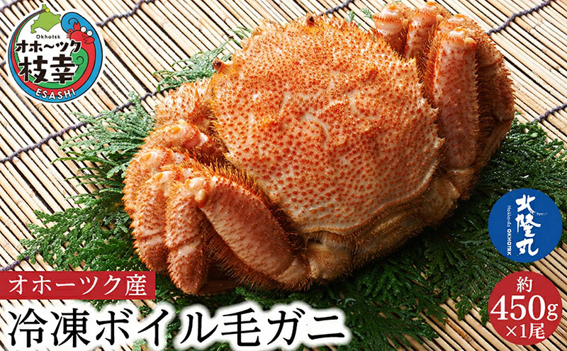 オホーツク産 北隆丸 冷凍ボイル 毛ガニ 約450g×1尾【 カニ かに 蟹 毛ガニ 毛蟹 冷凍 魚貝 魚介 海鮮 北海道 オホーツク 枝幸 】