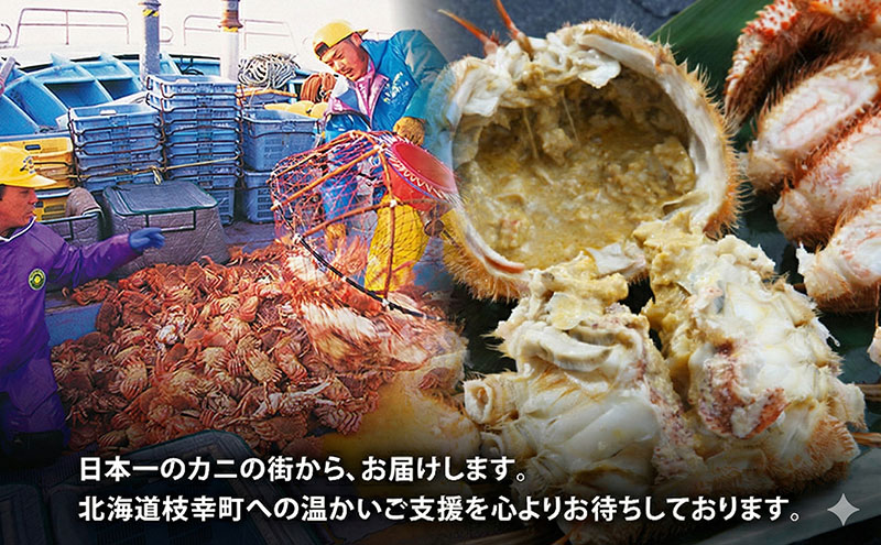 オホーツク産 北隆丸 冷凍ボイル 毛ガニ 約800g×1尾【 カニ かに 蟹 毛ガニ 毛蟹 冷凍 魚貝 魚介 海鮮 北海道 オホーツク 枝幸 】