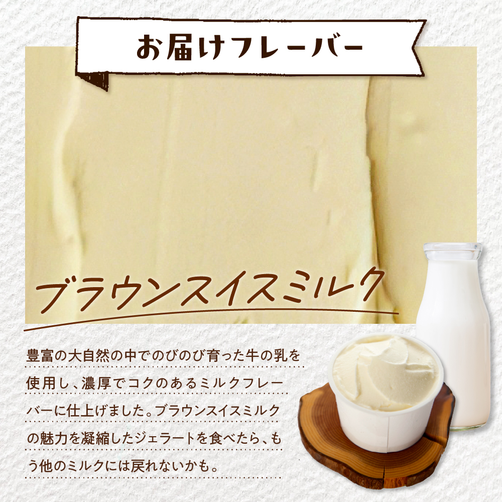 E.den(エデン) 豊富牛乳ジェラート ブラウンスイスミルク 100ml×12個