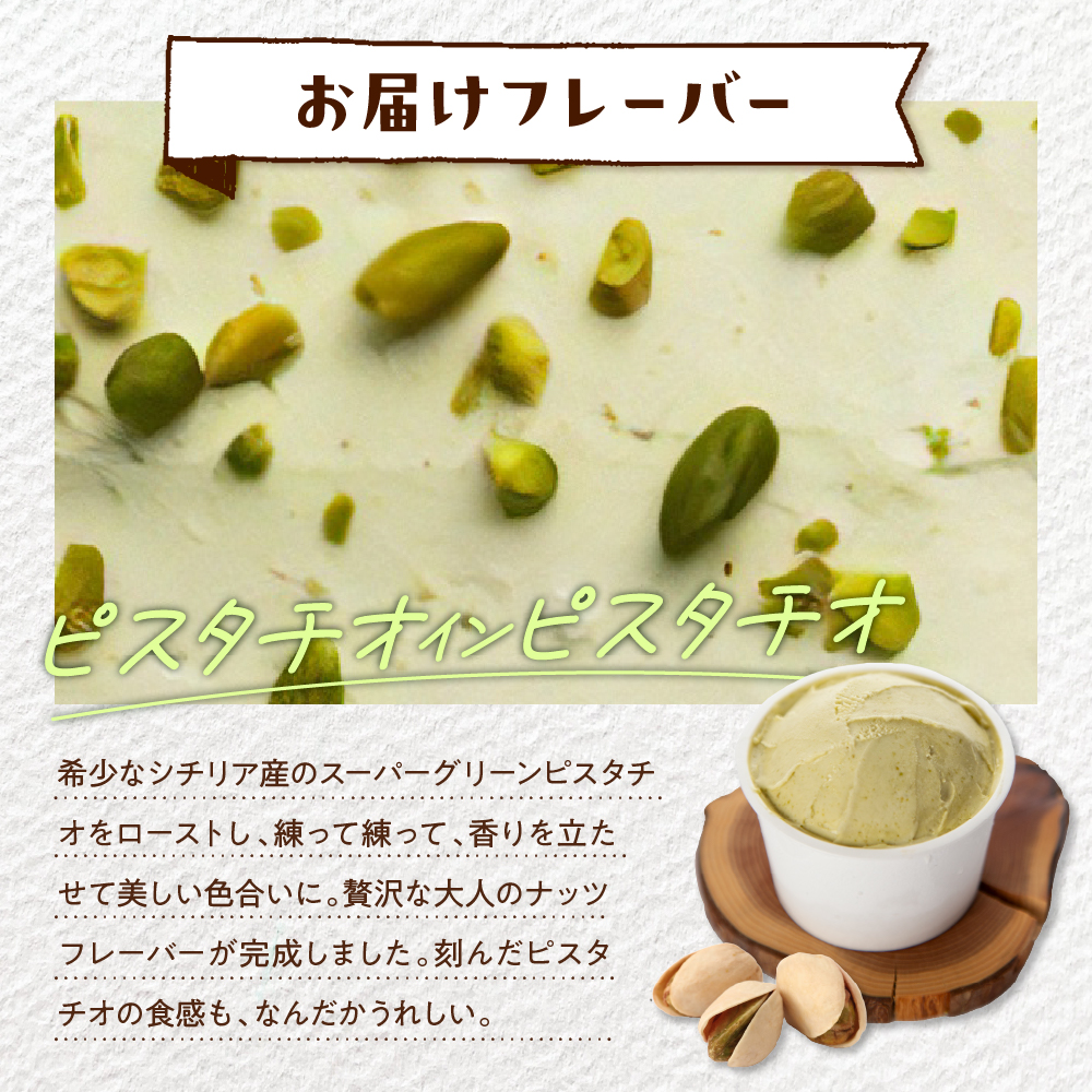 E.den(エデン) 豊富牛乳ジェラート ピスタチオインピスタチオ 100ml×12個