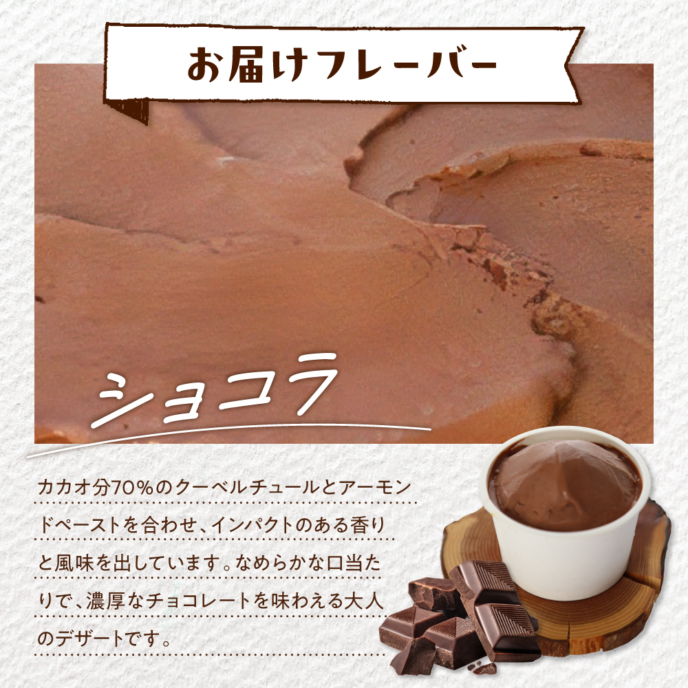 E.den(エデン) 豊富牛乳ジェラート ショコラ 100ml×12個