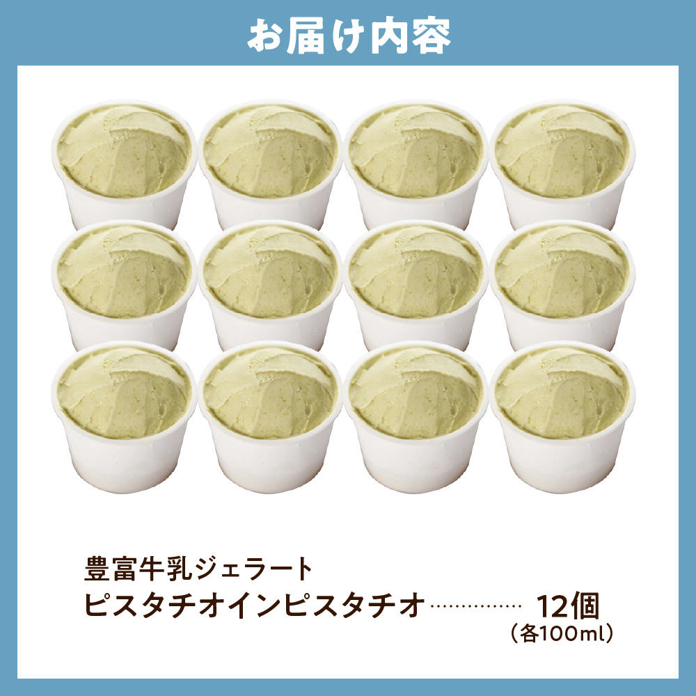 E.den(エデン) 豊富牛乳ジェラート ピスタチオインピスタチオ 100ml×12個