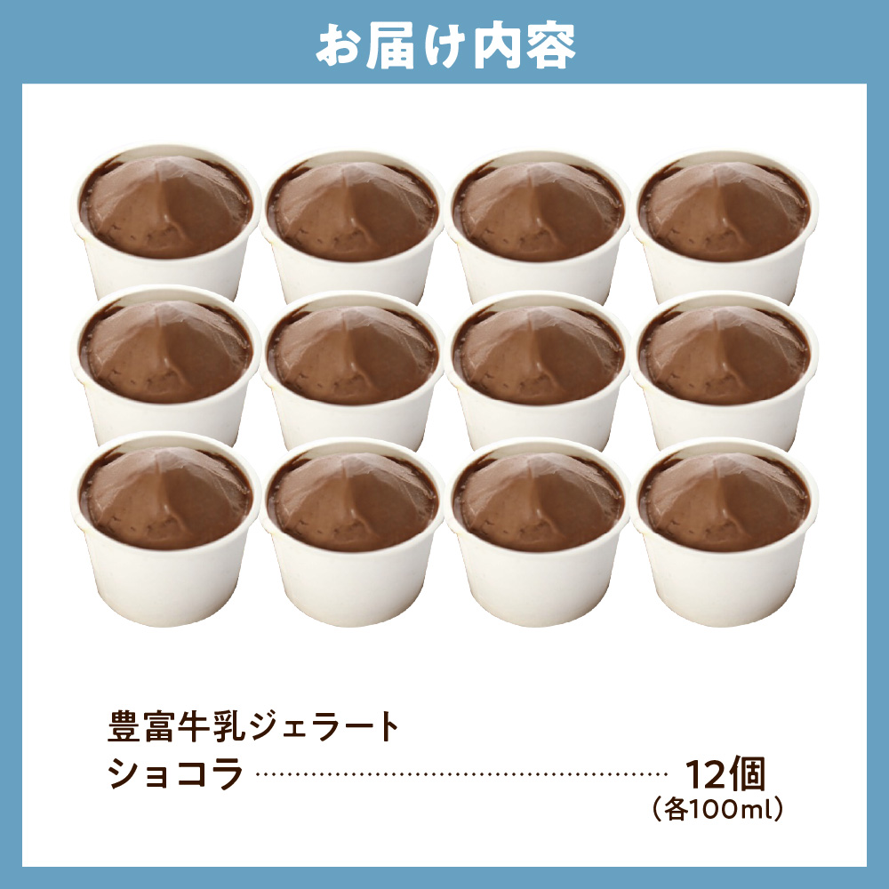 E.den(エデン) 豊富牛乳ジェラート ショコラ 100ml×12個