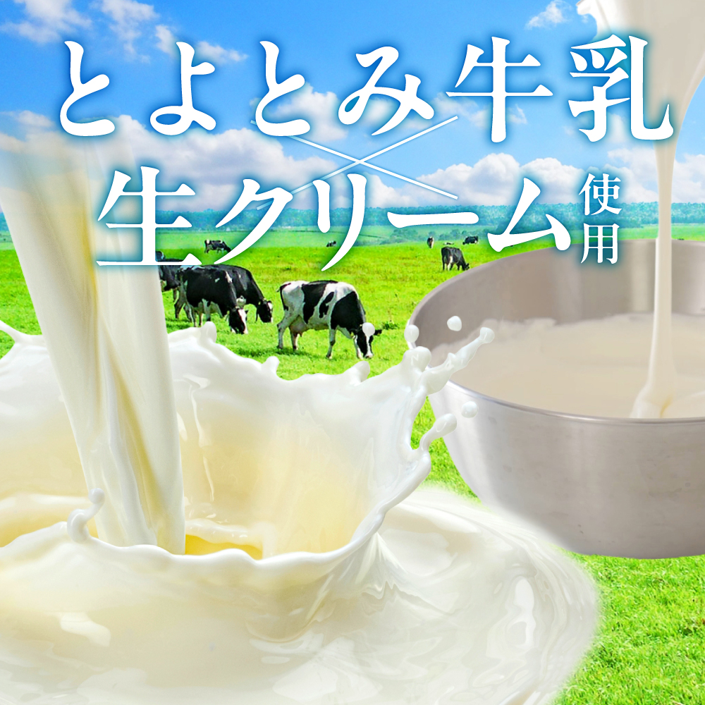 生ソフトクリーム【芳醇カフェオレ】 計10個 tt013-012