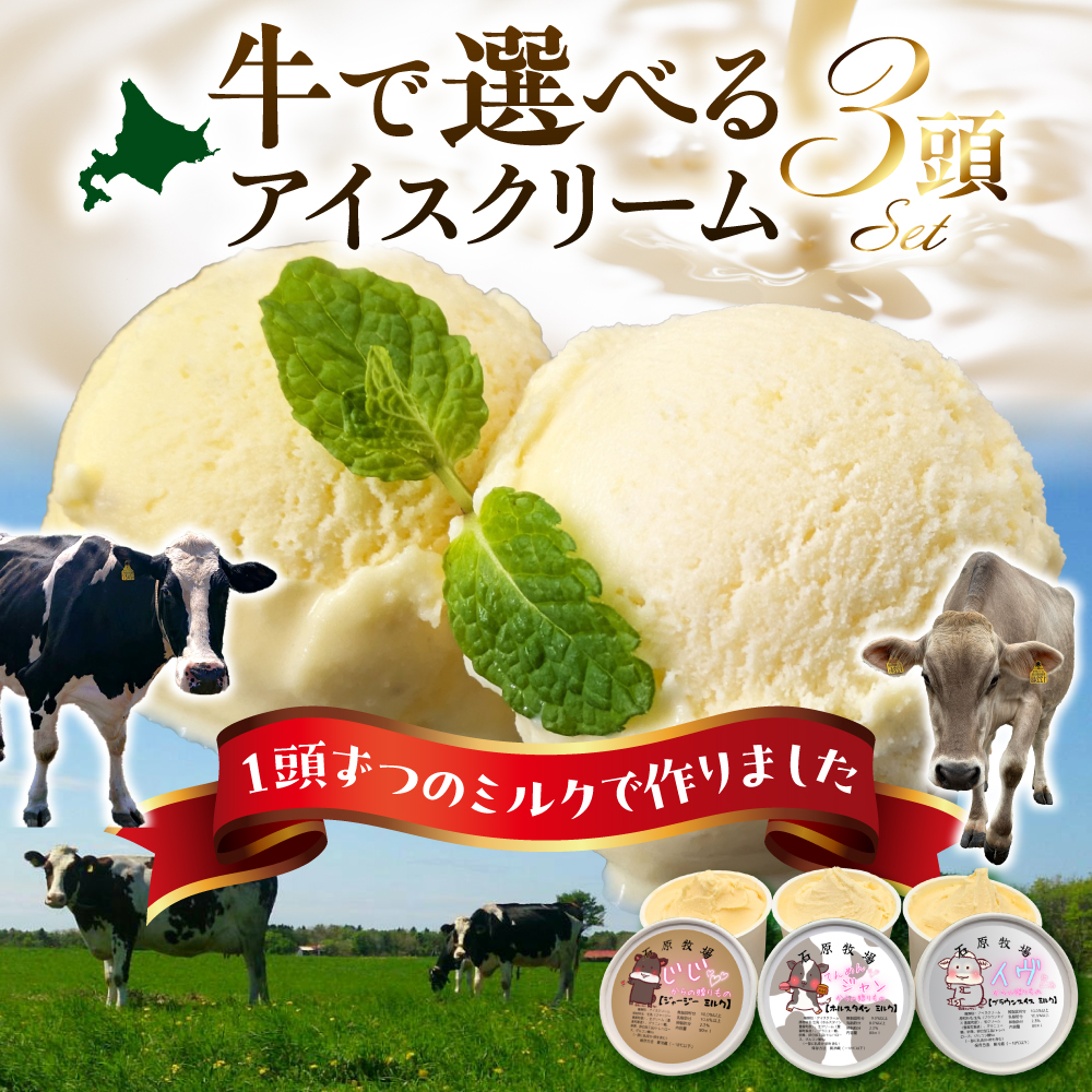 牛で選べるアイスクリーム 80ml×6個《牛3頭セット、品種2～3種》【石原牧場】 tt027-001