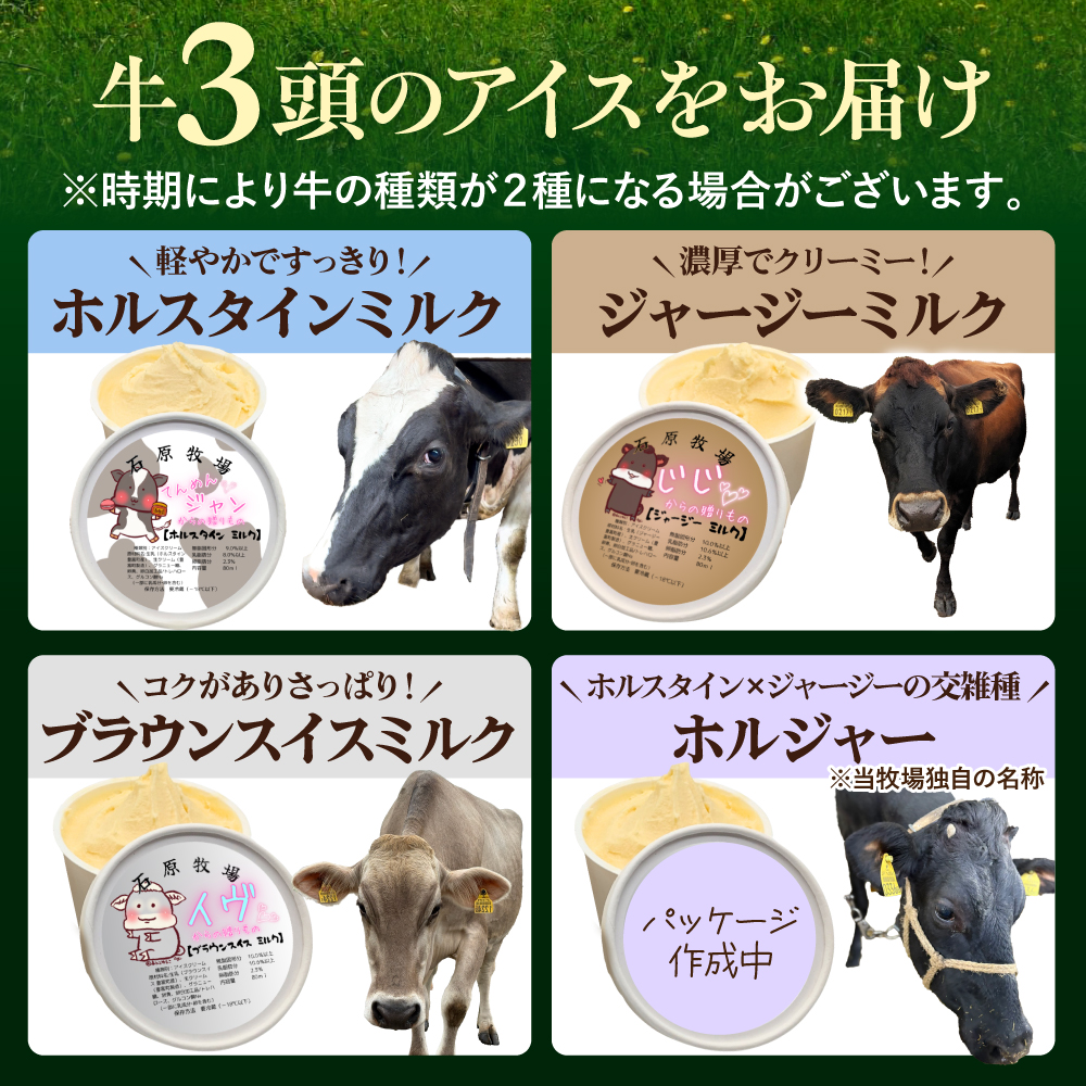 牛で選べるアイスクリーム 80ml×6個《牛3頭セット、品種2～3種》【石原牧場】 tt027-001