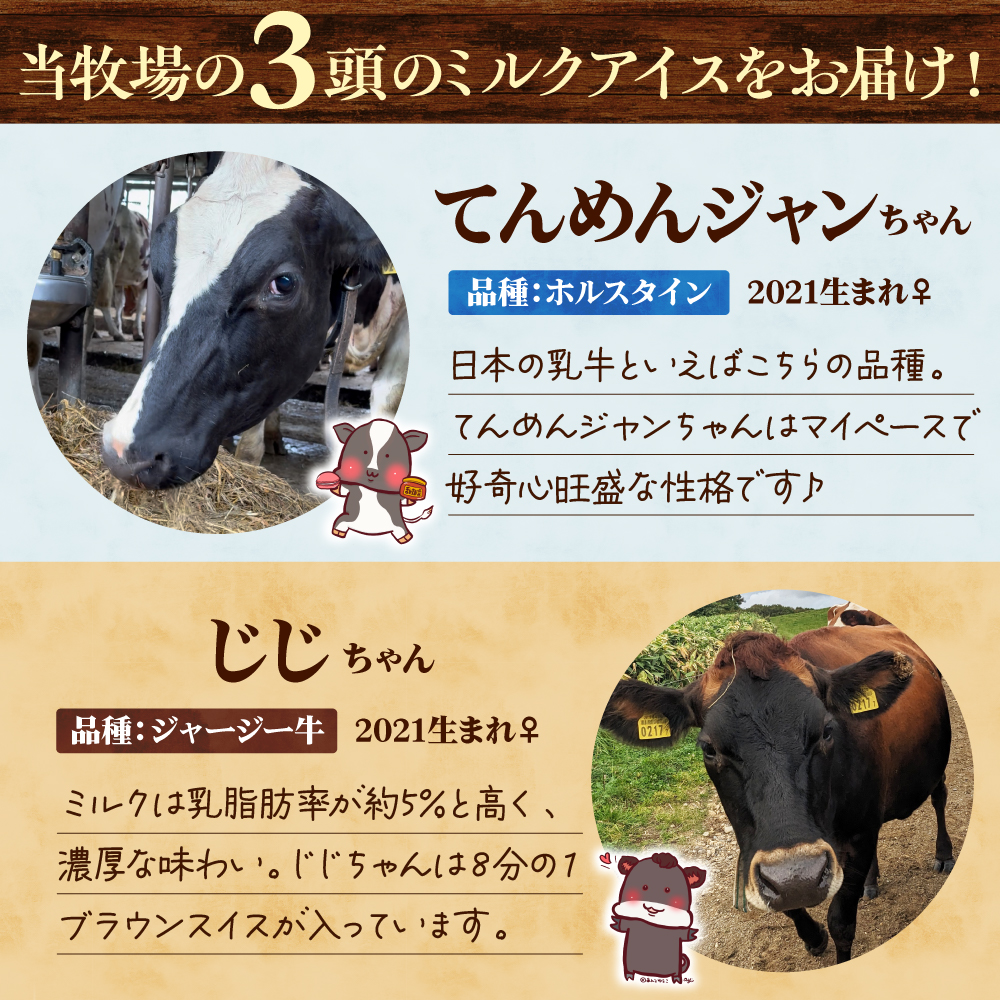 牛で選べるアイスクリーム 80ml×6個《牛3頭セット、品種2～3種》【石原牧場】 tt027-001