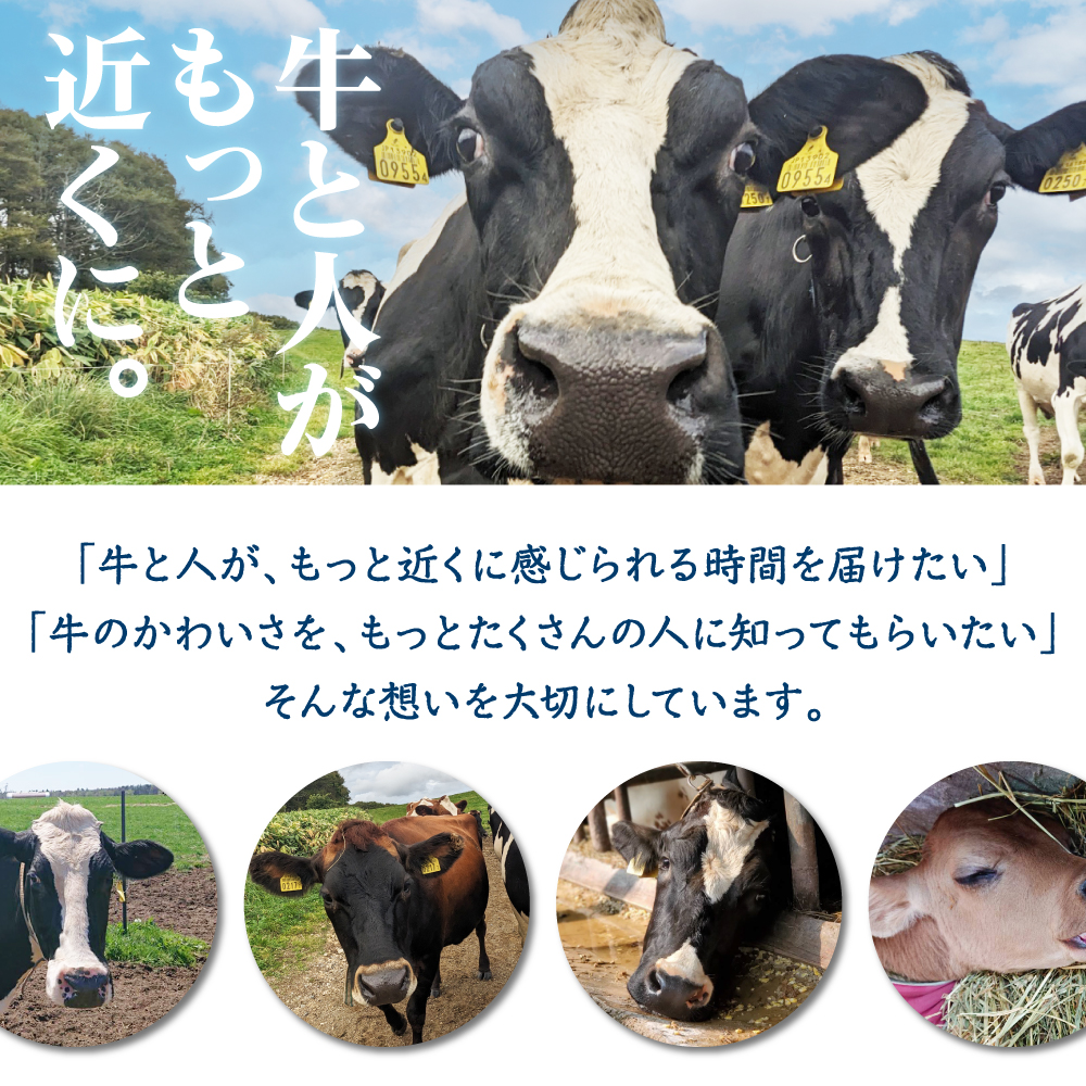 牛で選べるアイスクリーム 80ml×6個《牛3頭セット、品種2～3種》【石原牧場】 tt027-001