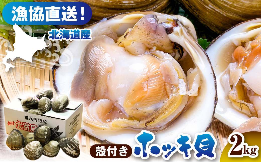 【数量限定】 獲れたて直送 ホッキ貝 約2kg tt007-003