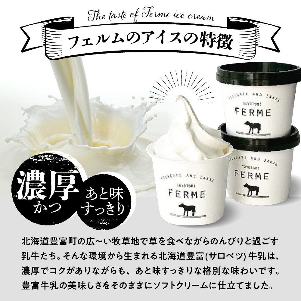 【3か月定期便】とよとみ牛乳ソフトクリーム【ショコラミックス 120ml×12個】