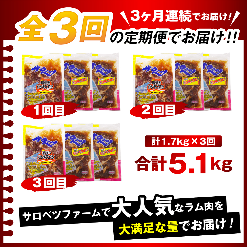 ãå®æäŸ¿ 3ãæãçŒèãžã³ã®ã¹ã«ã³ã»ãããçæ§ã®ãžã³ã®ã¹ã«ã³ïŒå³ä»ãã©ã ããŒã¹ïŒ1è¢ïŒå³ä»ãã©ã ãžã³ã®ã¹ã«ã³2è¢ã èš9è¢ 5.1kg